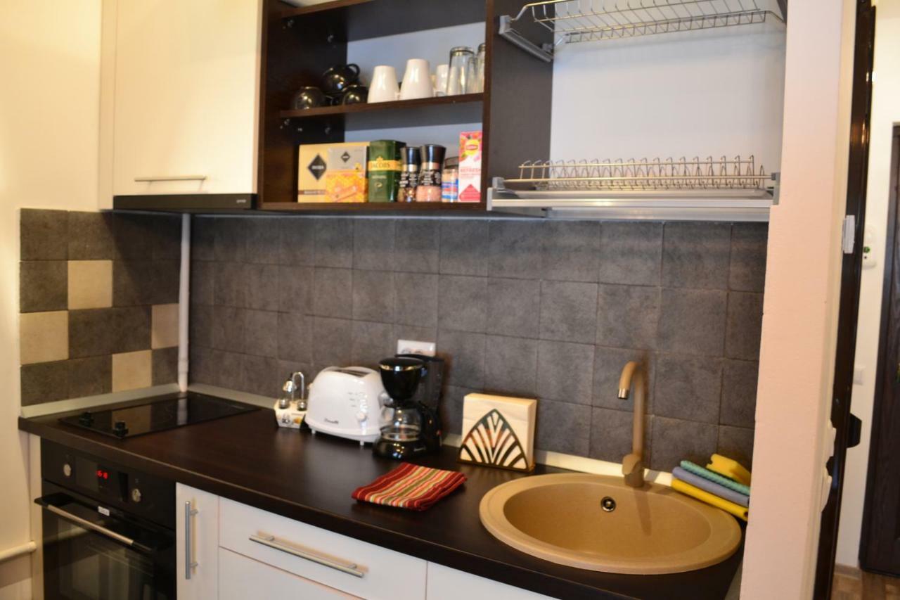 Apartament Golden Rose 1 Buşteni Buitenkant foto