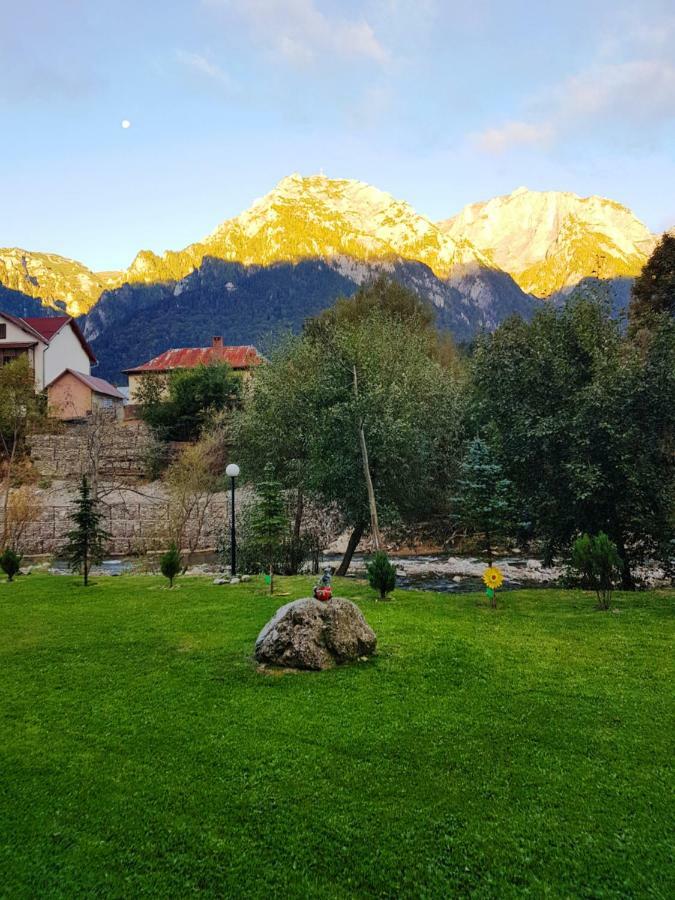 Apartament Golden Rose 1 Buşteni Buitenkant foto